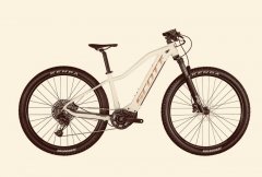 Sofort verfügbare E-MTB Hardtail
